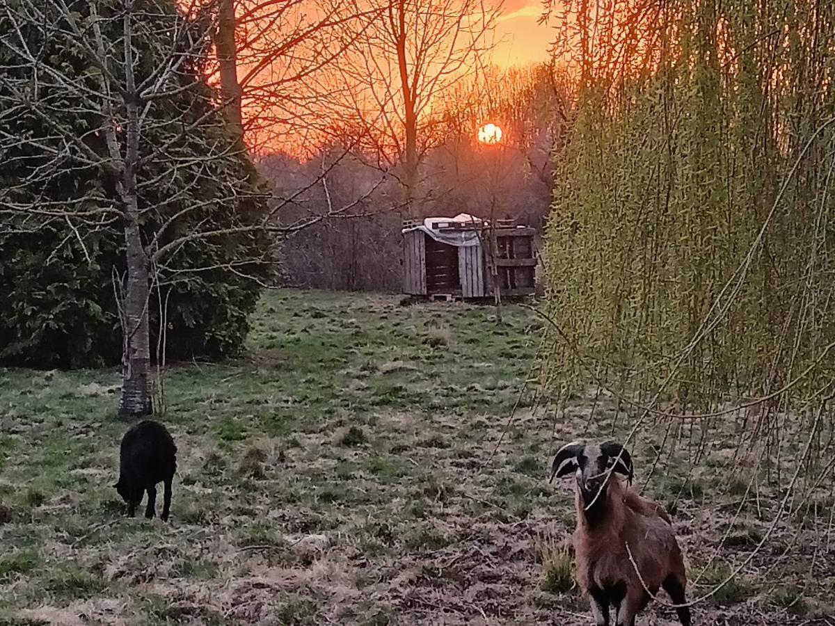 Les Chambres Du Vert Galant "Coucher De Soleil" Verlinghem Kültér fotó